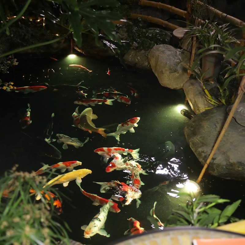 Cascade solcellsundervattensbelysning till trädgårdsdamm