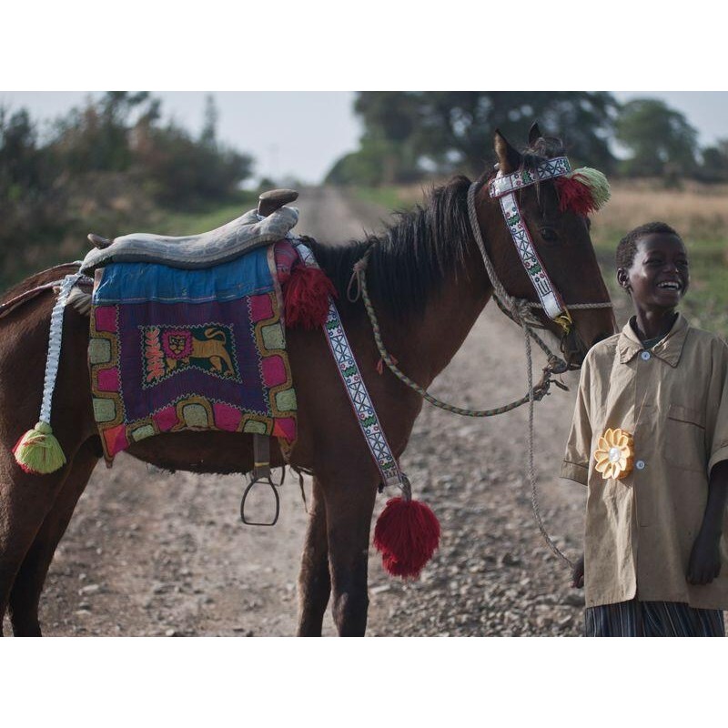 LITTLE SUN SOLCELLSLAMPA