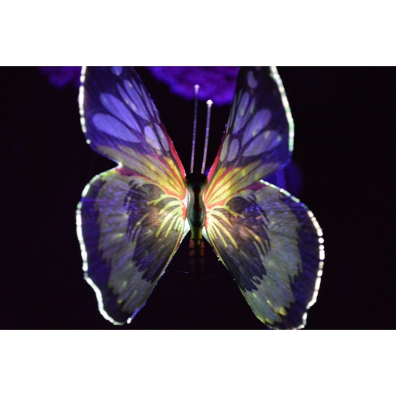 LED Fjäril i optisk fiber med solceller, 3-pack, växlar färg